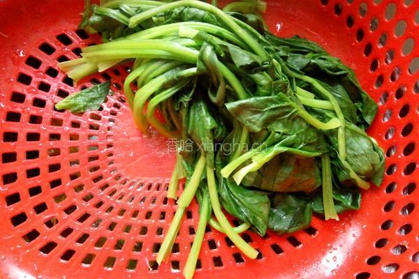 菠菜拌香干的做法图解4