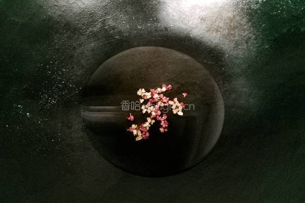 白味臊子豆腐的做法图解7