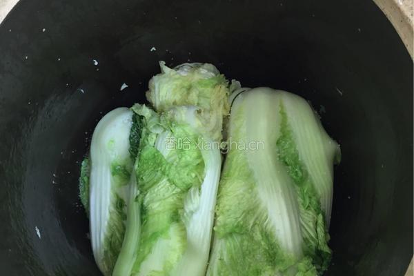 酸菜腌制方法，的做法图解6