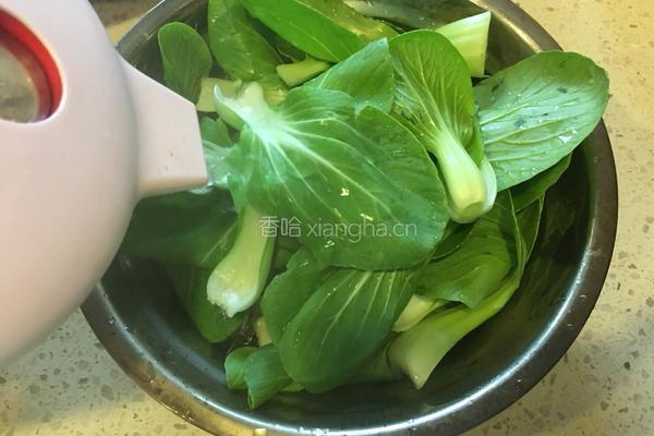 宝宝饺子的做法图解5