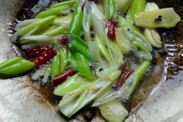 酱香啤酒鸭的做法图解5