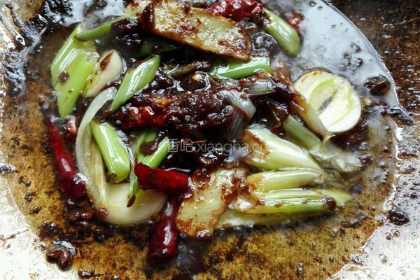 酱香啤酒鸭的做法图解6