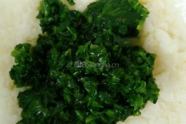 菠菜营养粥的做法图解5