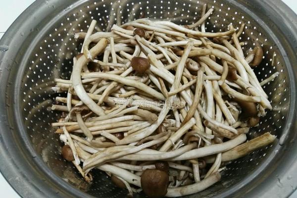 茶树菇烧鸡翅的做法图解2
