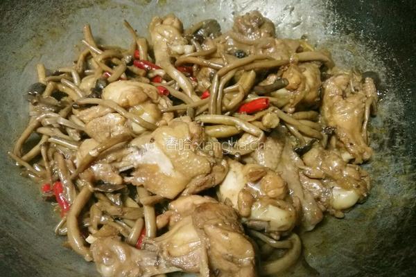 茶树菇烧鸡翅的做法图解10