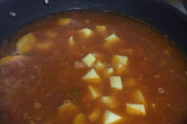西红柿牛腩土豆的做法图解9