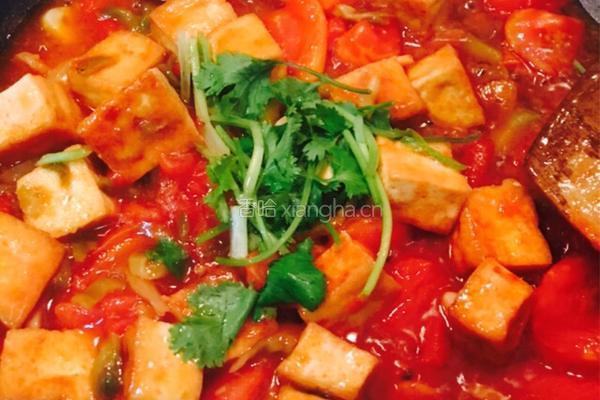 西红柿烧豆腐的做法图解13