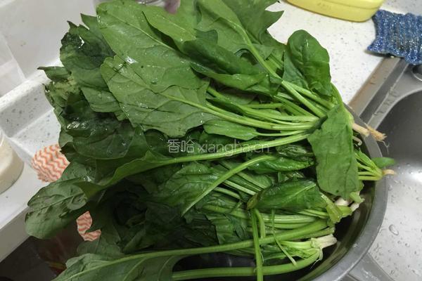 凉拌千张菠菜的做法图解3