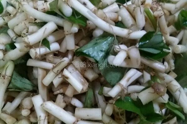 凉拌折耳根（鱼腥草）的做法图解4