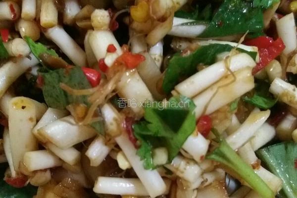 凉拌折耳根（鱼腥草）的做法图解8