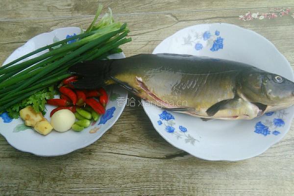 凉拌鲤鱼的做法图解1
