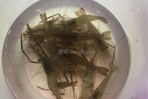 河虾面的做法图解1