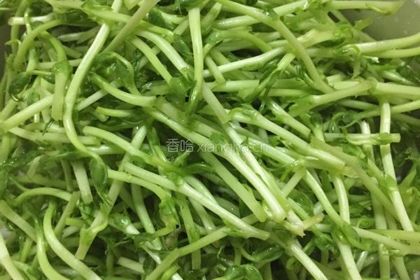 牛肉豆苗汤的做法图解2