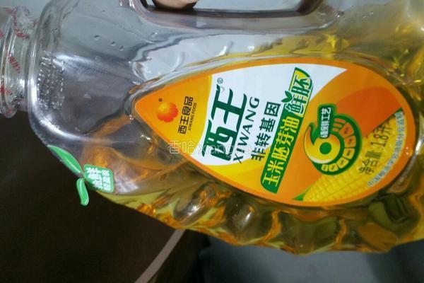 香酥猪排的做法图解3