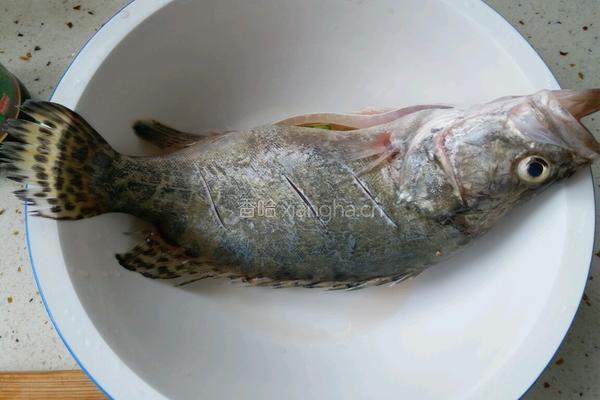 清蒸鳜鱼的做法图解1