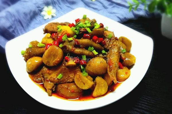 板栗烧鸡的做法图解11