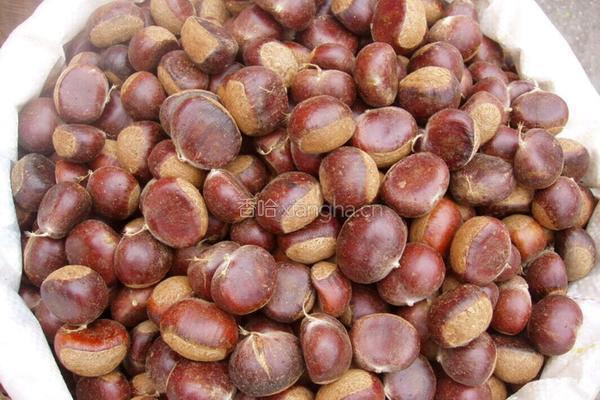 水煮栗子的做法图解1