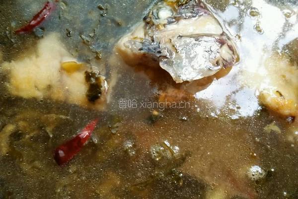 酸酸辣辣的酸菜鱼的做法图解15