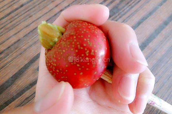 山楂果肉酱的做法图解6