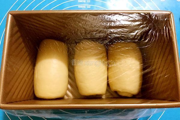 玉米油原味土司的做法图解11