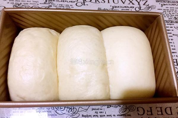 玉米油原味土司的做法图解12