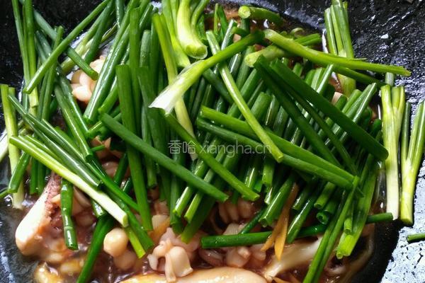 葱炒鲜鱿的做法图解4