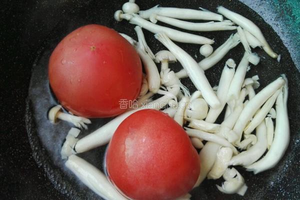 番茄白玉菇炖驴肉的做法图解2