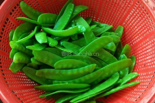清炒荷兰豆的做法图解3