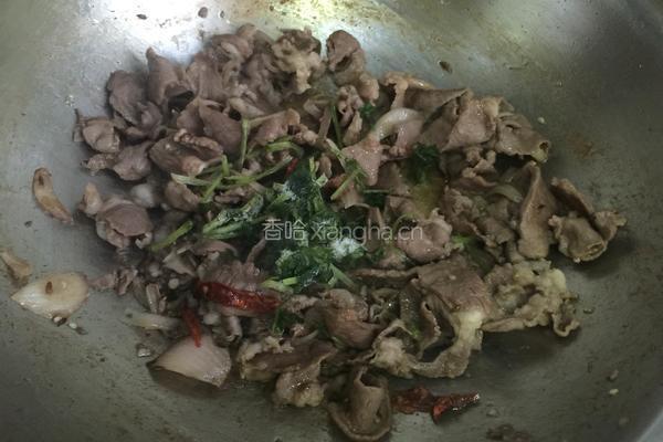 孜然羊肉的做法图解7