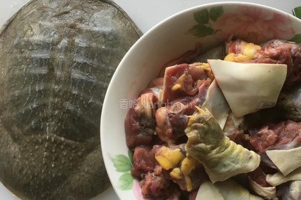 五花肉烧甲鱼的做法图解4