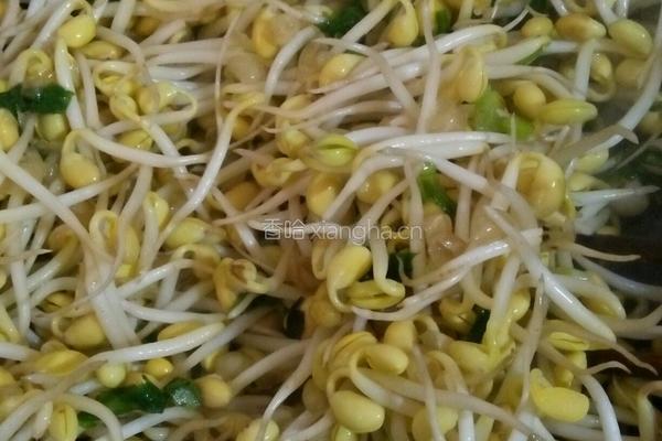 炒黄豆芽的做法图解7