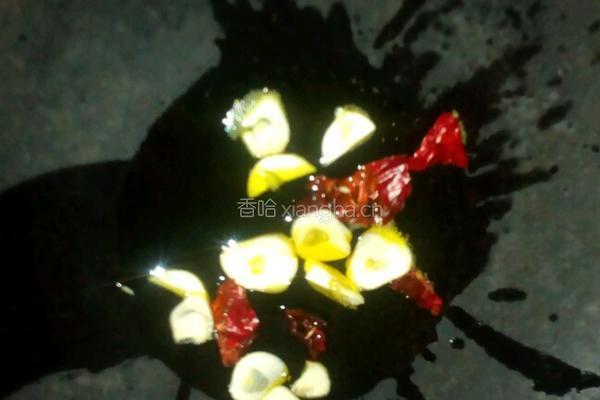 干豆腐白菜孜然鸡肉条的做法图解6
