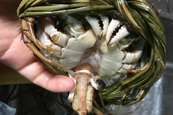 蒸大闸蟹的做法图解3