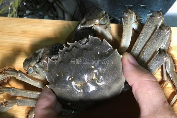 蒸大闸蟹的做法图解4