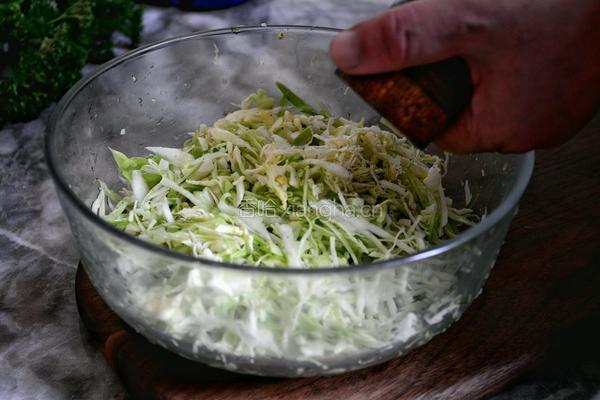 沃尔多夫沙拉 SALADE WALDORF的做法图解2