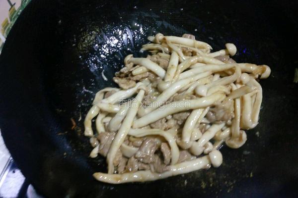 海鲜菇炒肉的做法图解12