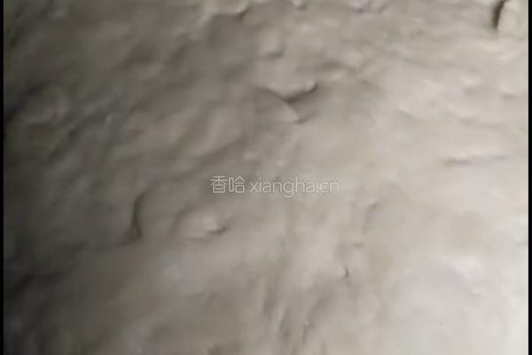 葱香油酥饼的做法图解1