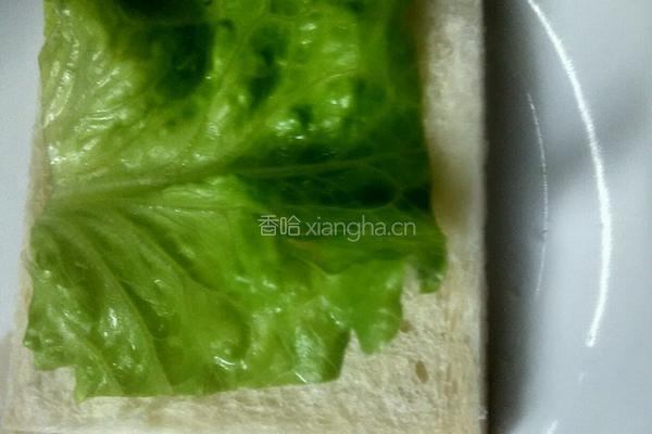 简易三明治的做法图解3
