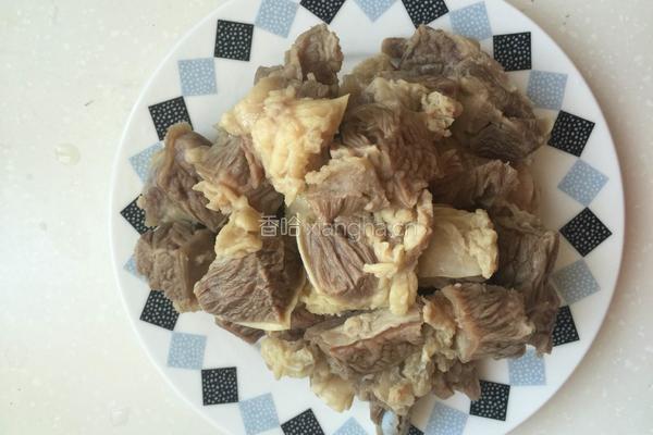 牛肉炖萝卜的做法图解4