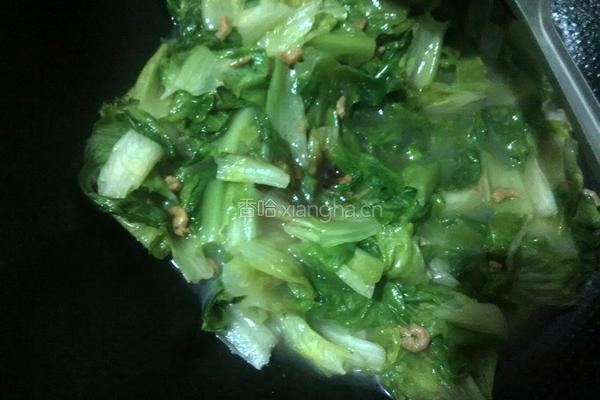 虾仁生菜的做法图解6