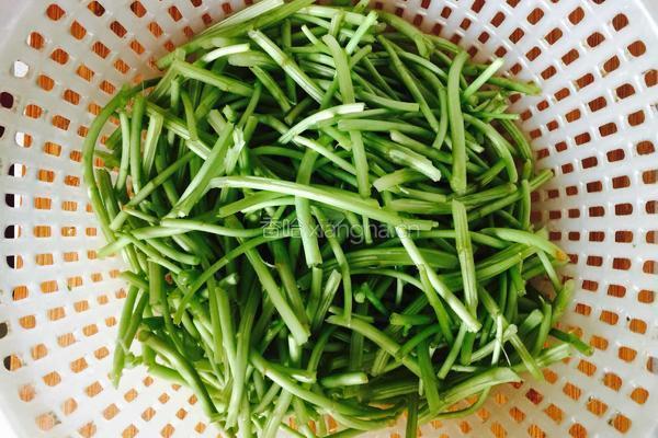 芦蒿香干的做法图解1