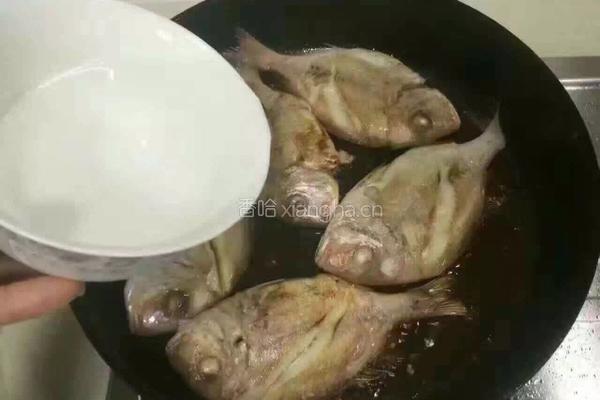 红烧赤棕鱼的做法图解3