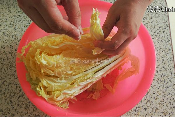 正宗东北泡菜辣白菜的做法的做法图解3