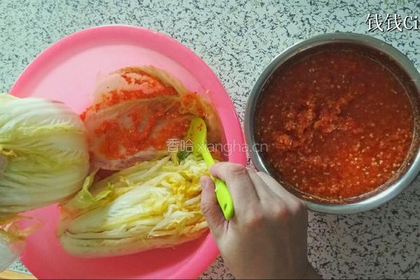 正宗东北泡菜辣白菜的做法的做法图解10
