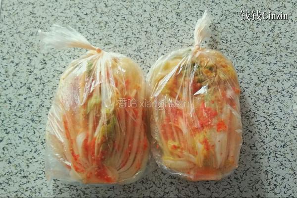 正宗东北泡菜辣白菜的做法的做法图解13