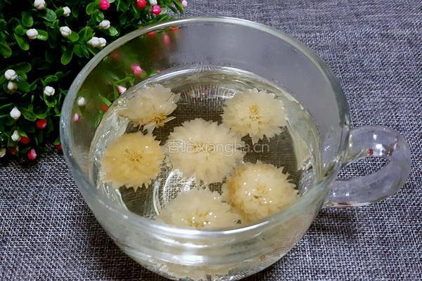 菊花茶的做法图解5