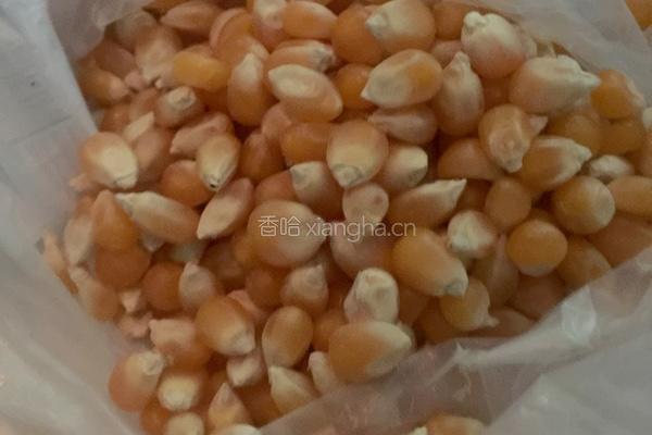 高压锅爆米花的做法图解1