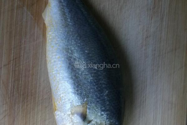 茄汁黄鱼肉的做法图解1