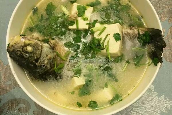 鲫鱼豆腐汤的做法图解5