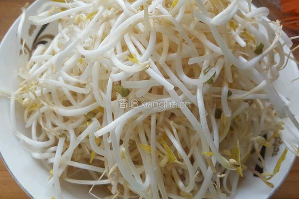 炒豆芽的做法图解2
